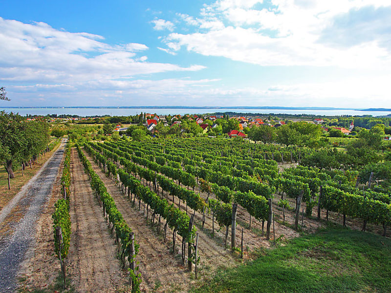 Balaton029