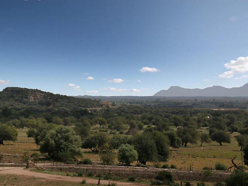 Cladera