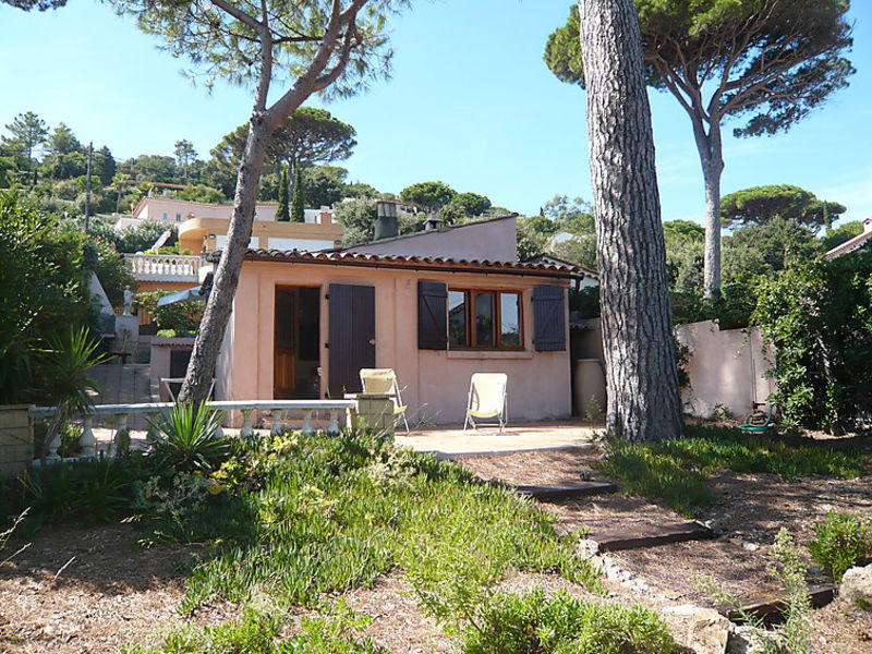 Les Pins