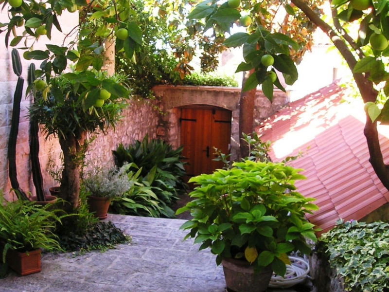 House Magnolia