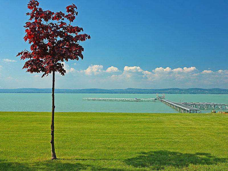 Balaton A2025