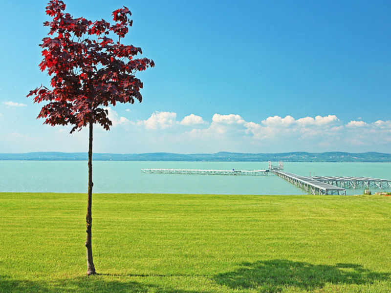 Balaton A2094