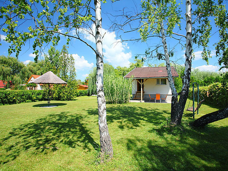 Balaton H338