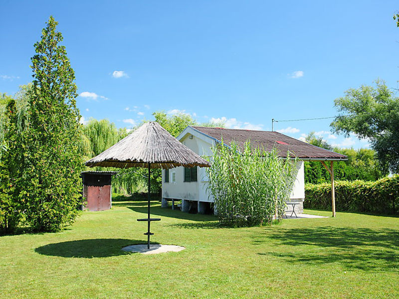 Balaton H338