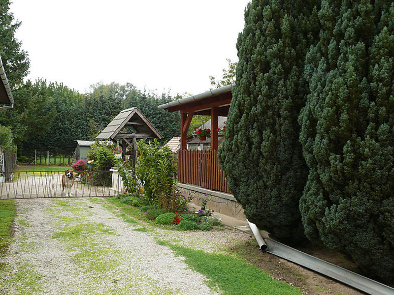Anikó 14