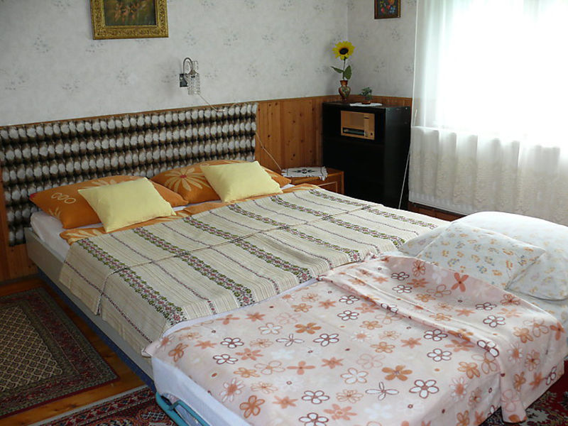 Anikó 14
