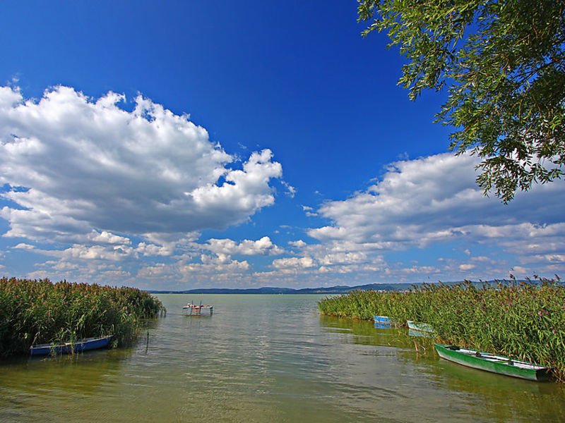 Balaton H458