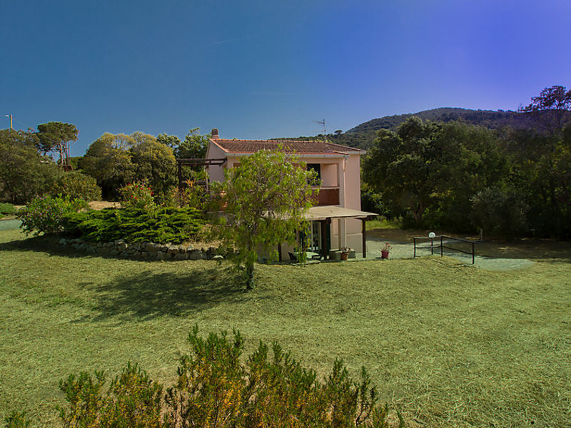 Colle Procchio