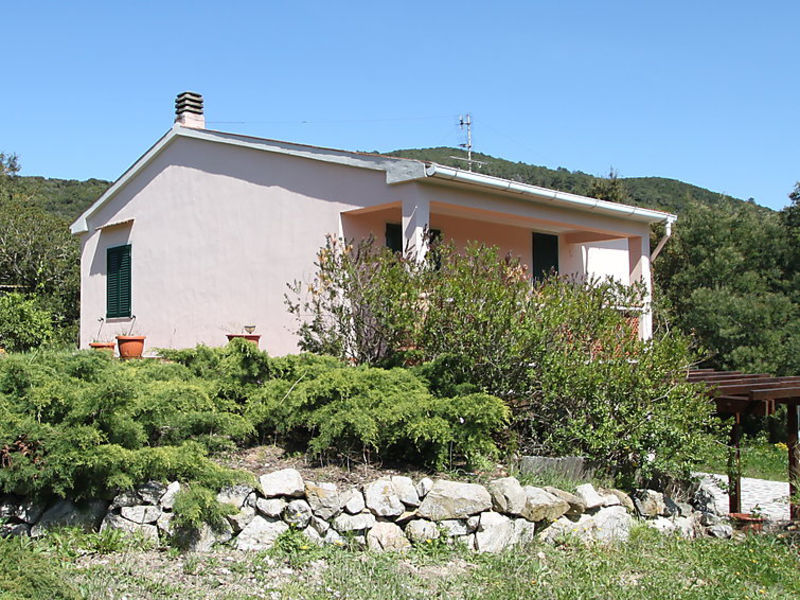 Colle Procchio