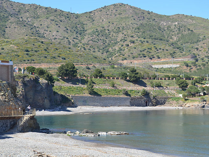 Colera