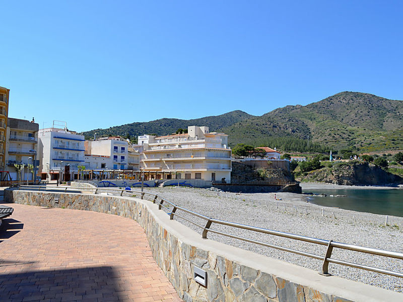 Colera