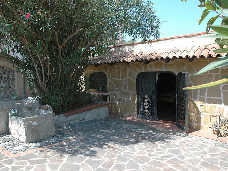 La Cucciola