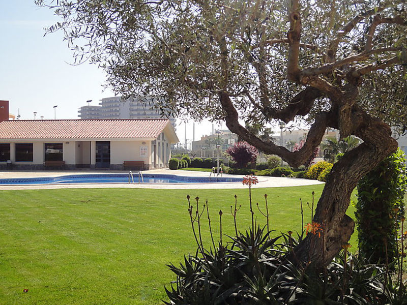 Res Hort De Salomó 01
