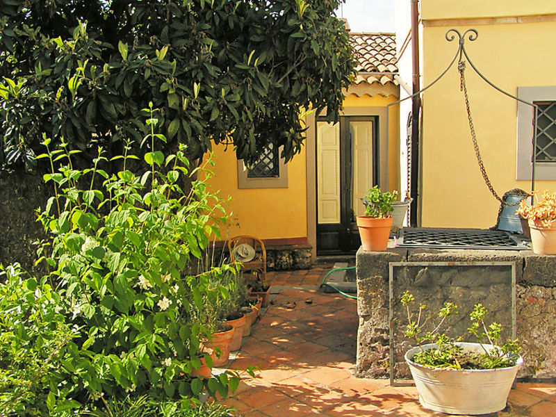 Nespolo