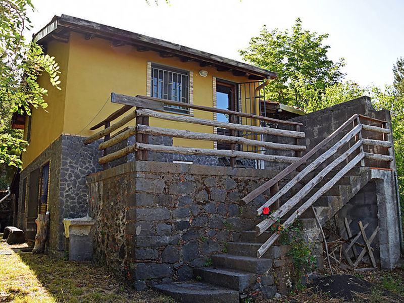 Gran Pino
