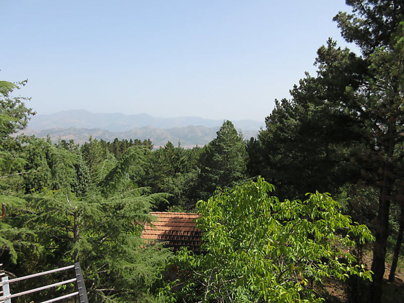 Mareneve
