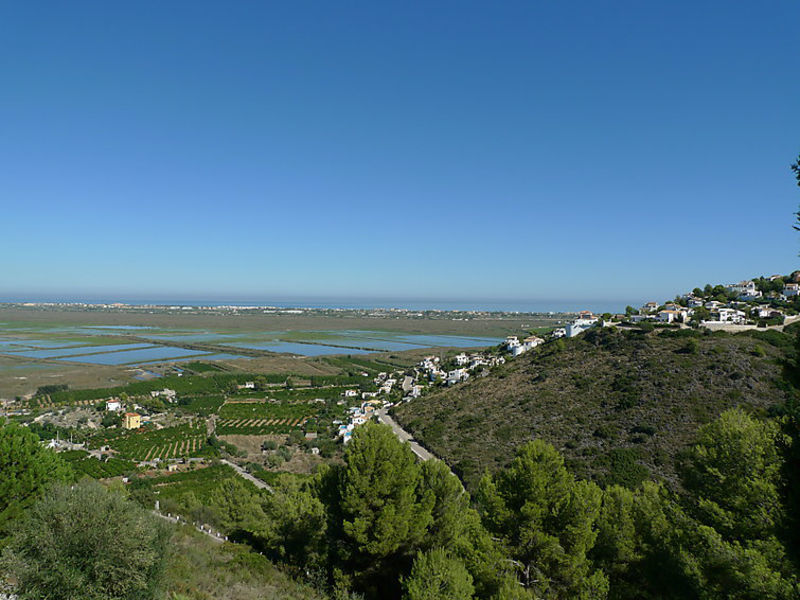 Cariño