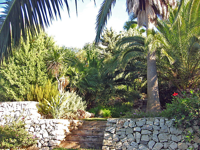 Toscal 361