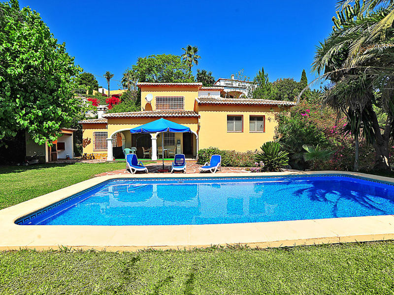 Palmera