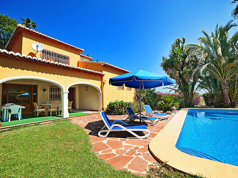 Palmera