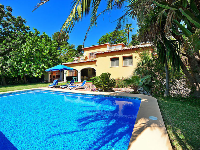Palmera