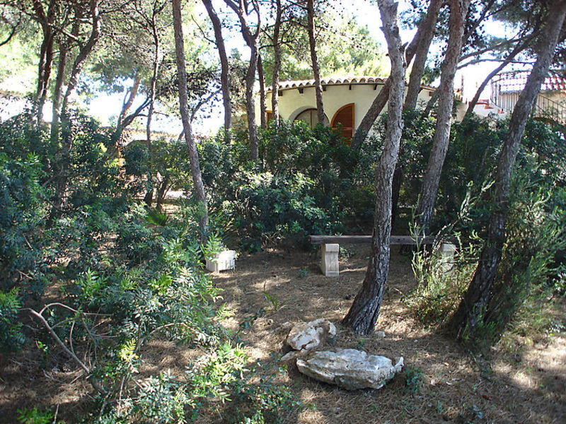 De La Higuera
