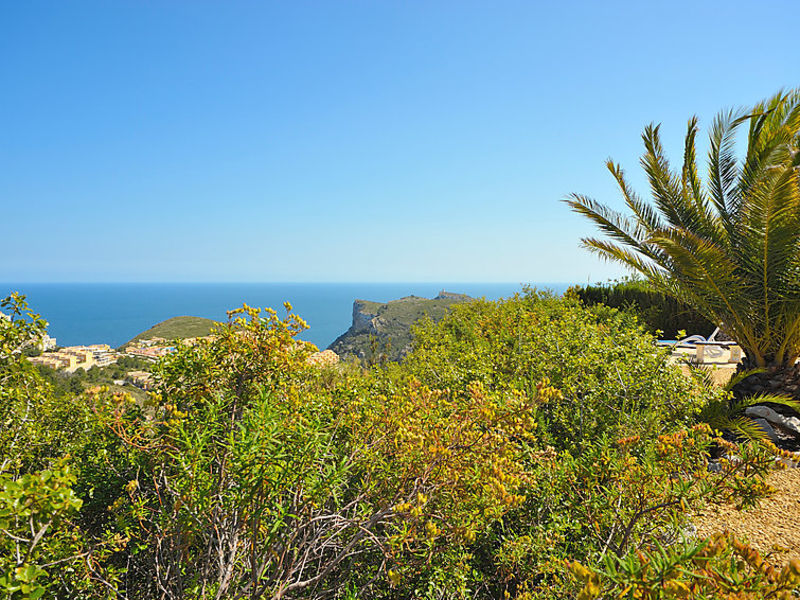 Las Palmeras