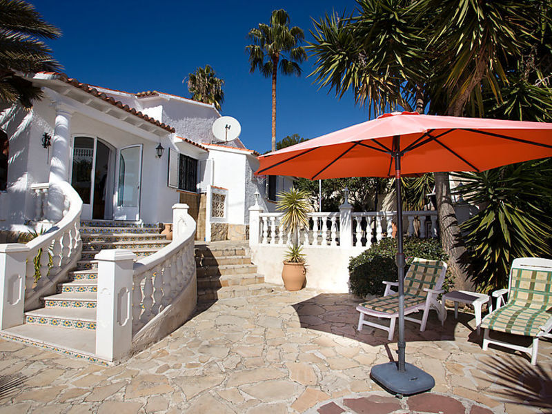Palmera