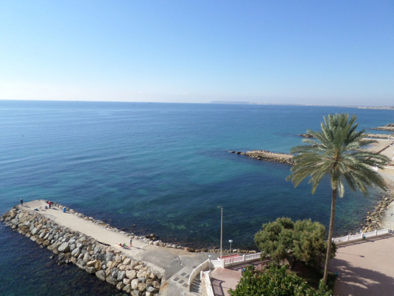 Mediterranean Stare