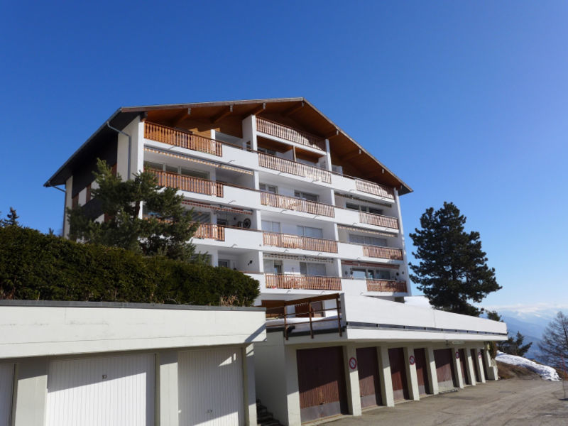 Les Pins