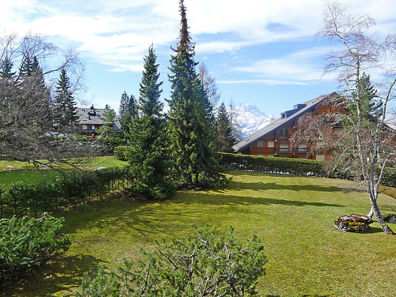 Olympiades Du Golf
