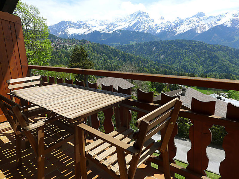 Chalet Merymont