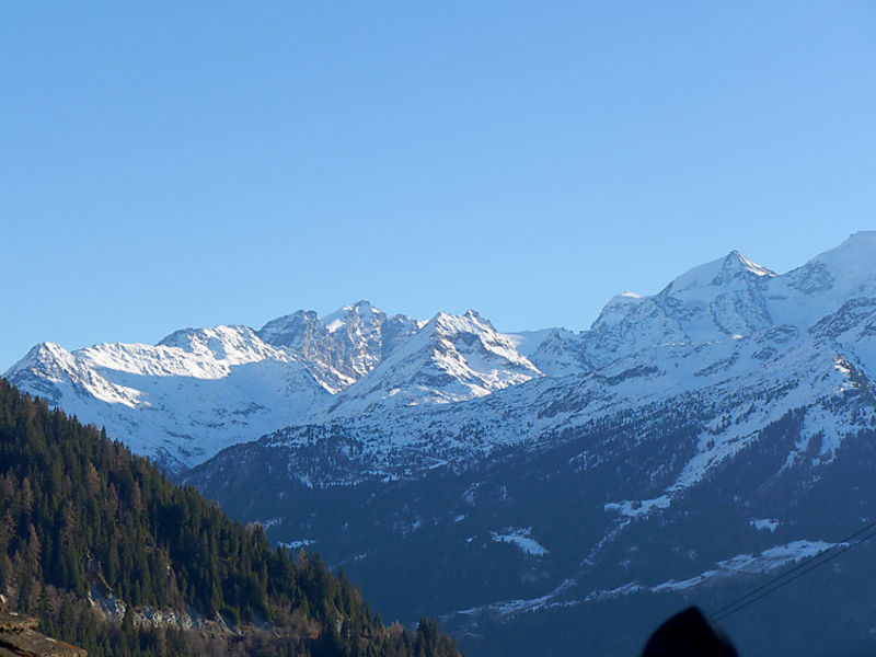 L'Eloge