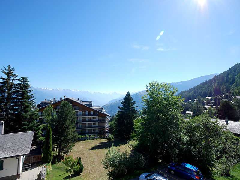 Montfort 17a