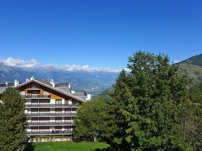 Montfort 17a