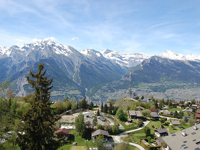 Rossignol C4