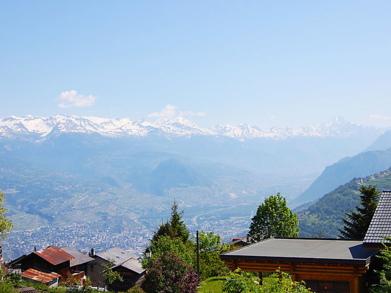 Etoile Des Neiges