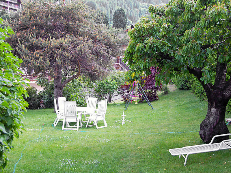 Etoile Des Neiges
