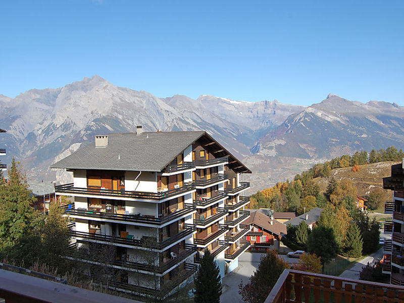 Grand Panorama C3