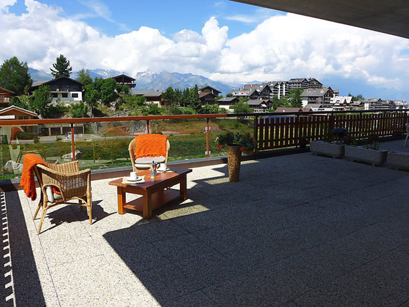 Domaine Des Reines D14