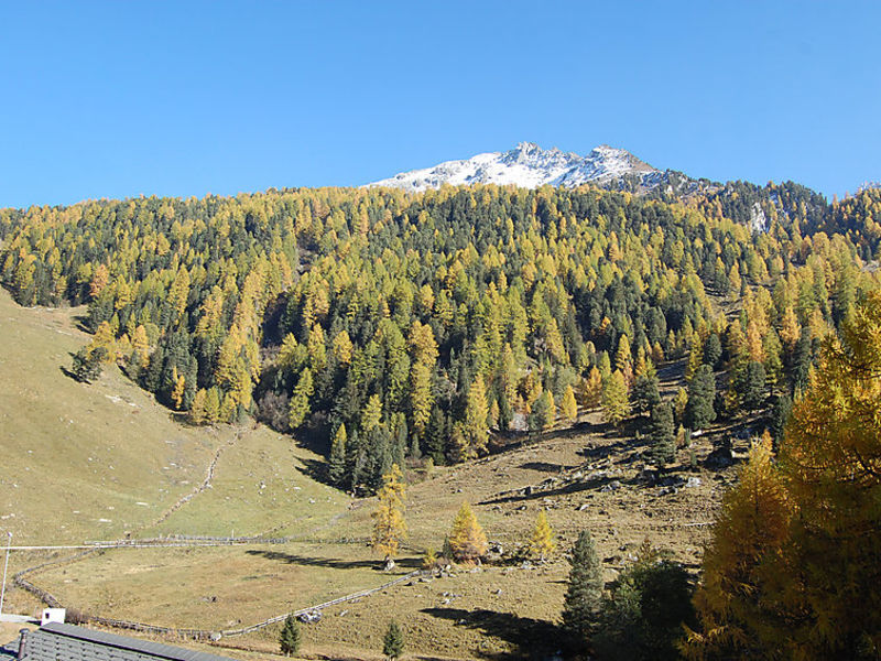 Mont Fort 43