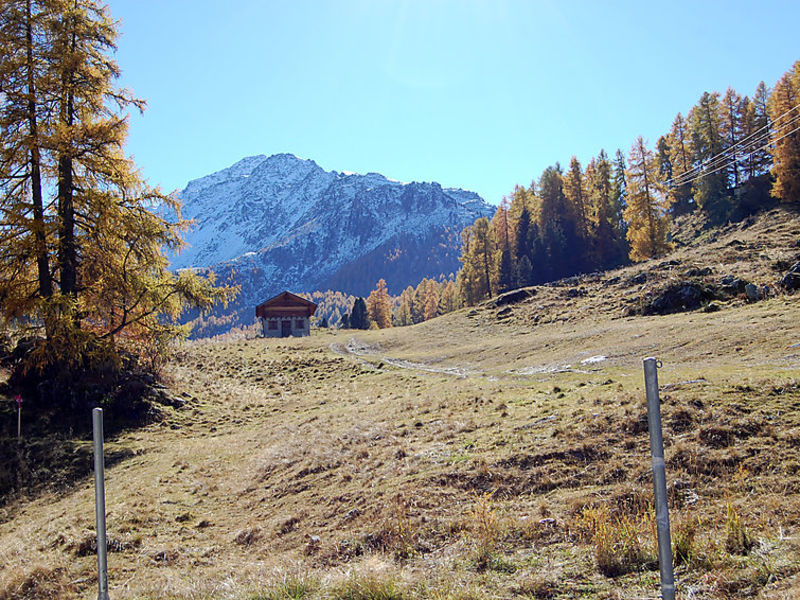 Mont Fort 43