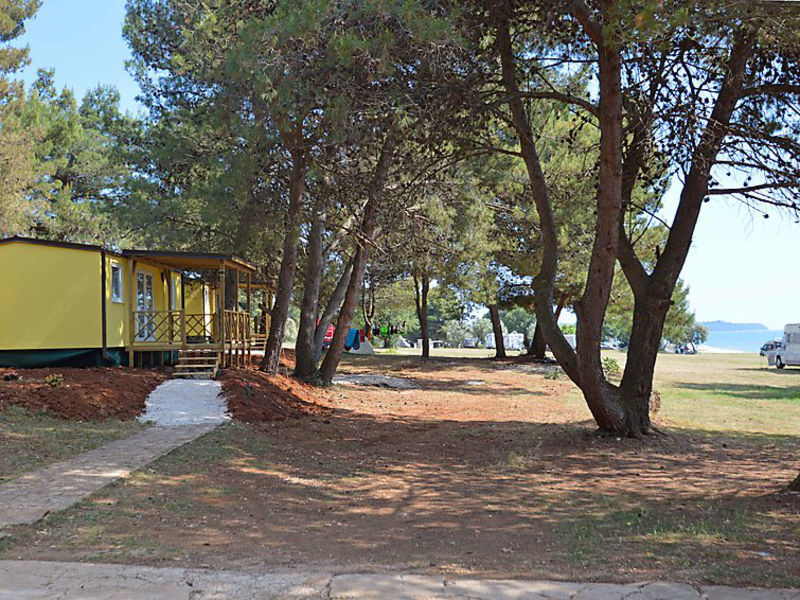 Camping Pineta