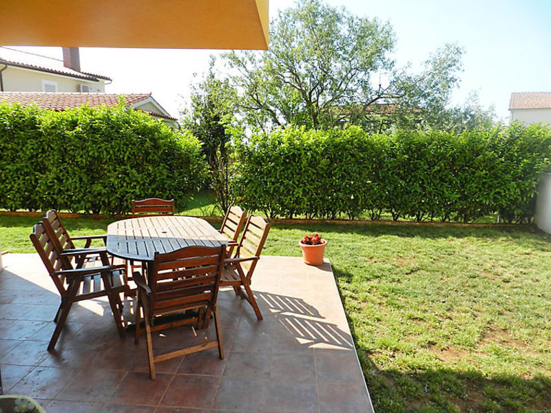 Suncokret