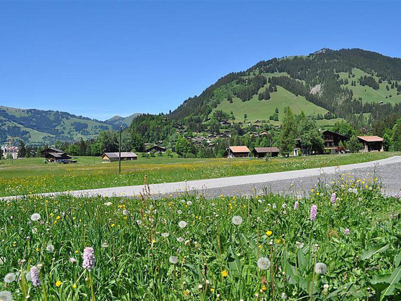 Weidhaus