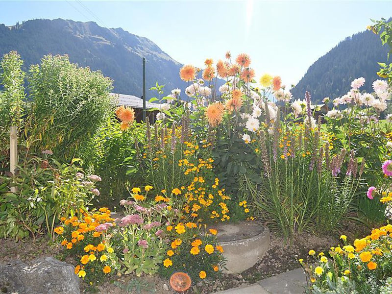 Weidhaus