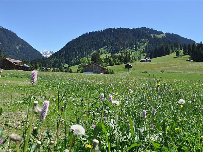 Weidhaus