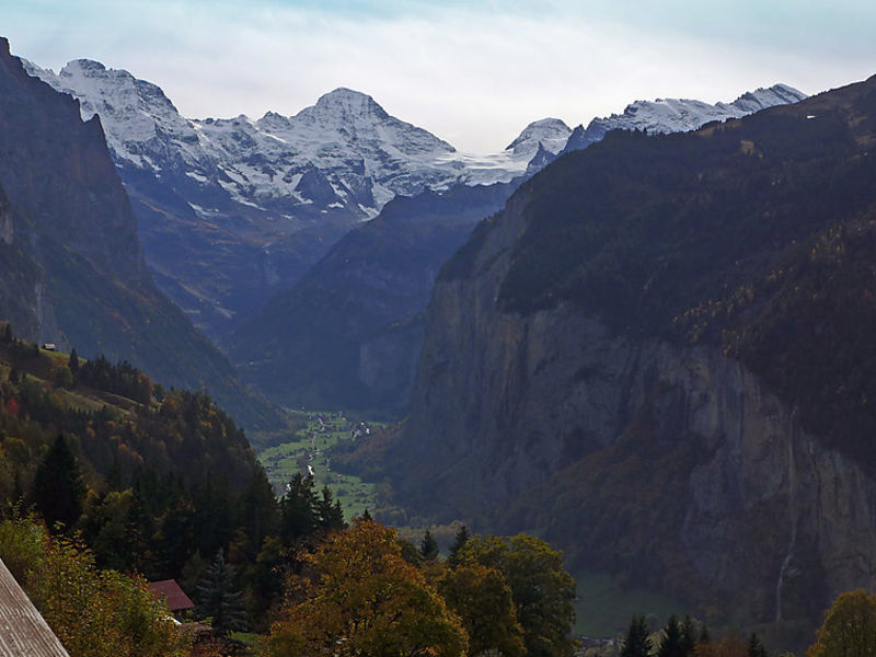 Panorama