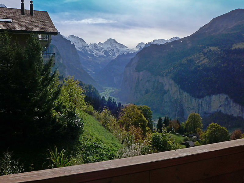 Panorama