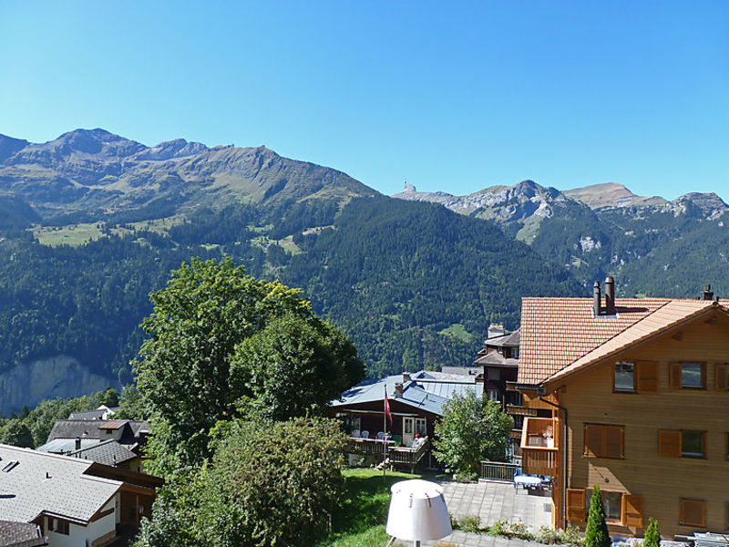 Silberhorn